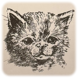 猫のイラスト